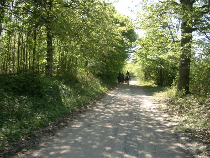 Bungsberg-CTF 542